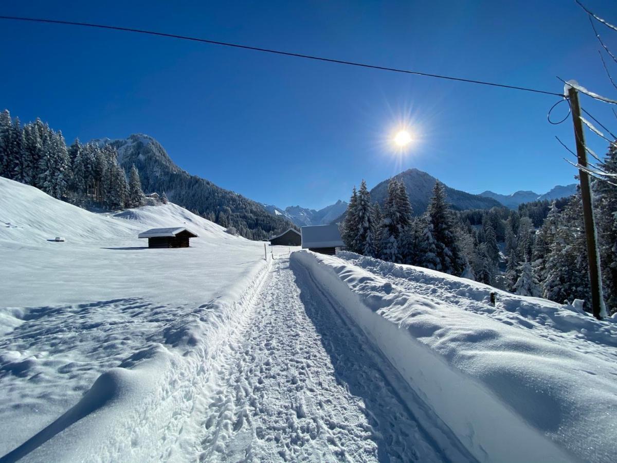 Landhaus Am Plattenbichl - Luxus Apartment Mit Privat-Pool Und Sauna - Im Sommer Bergbahn Inklusive Oberstdorf Luaran gambar