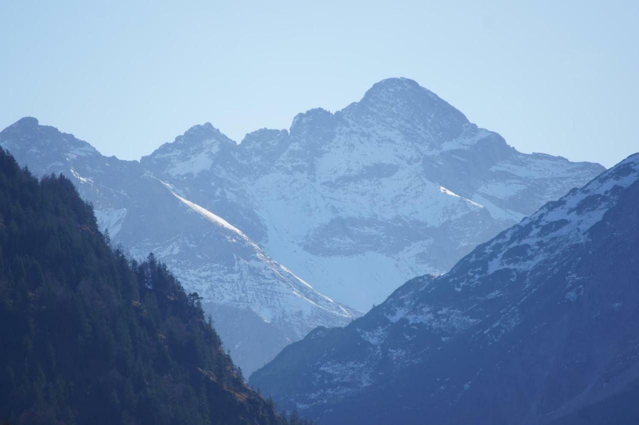 Landhaus Am Plattenbichl - Luxus Apartment Mit Privat-Pool Und Sauna - Im Sommer Bergbahn Inklusive Oberstdorf Luaran gambar